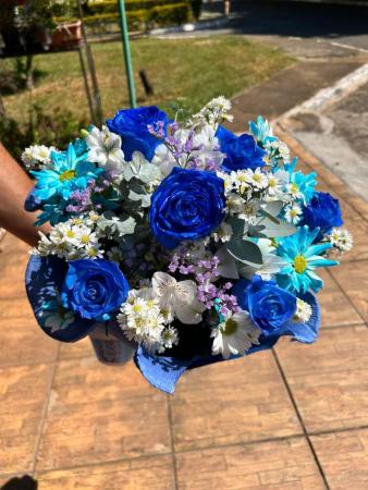 Buquê Rosas Nacionais 6 rosas